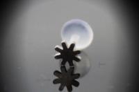 Bioplast Labret with Stainless Steel Sun Design