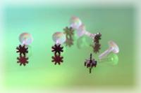 Bioplast Labret with Stainless Steel Sun Design